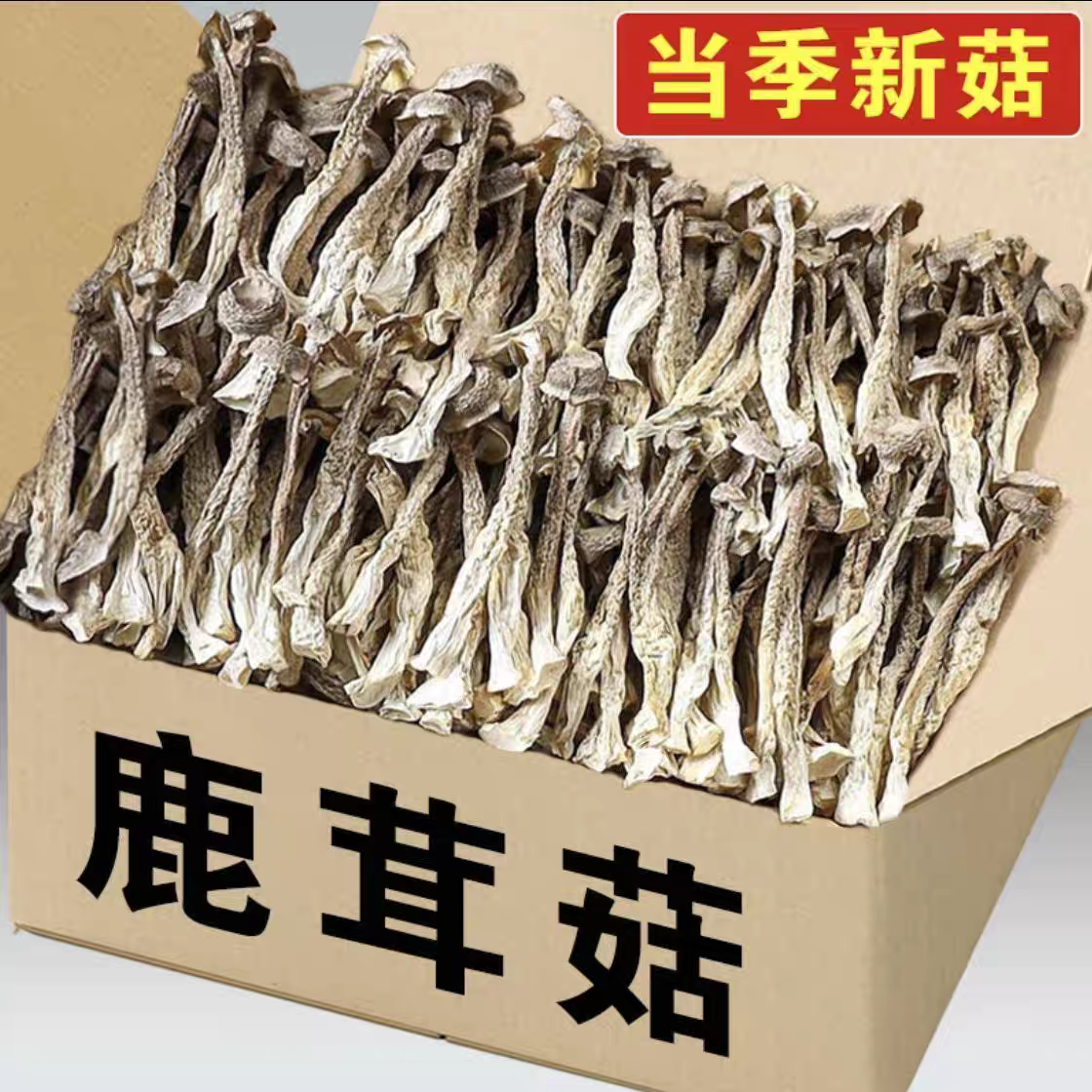 【老菇婆】鹿茸菇无熏硫无农残干货炒肉炖汤鲜美营养美味