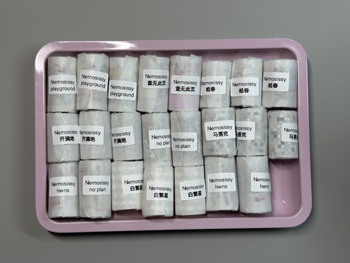 现货胶带分装Nemosissy手帐胶带盐系合集