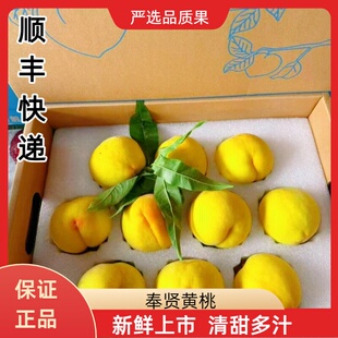 上海奉贤光明黄桃当季时令新鲜水果大桃子现摘清甜多汁顺丰快递