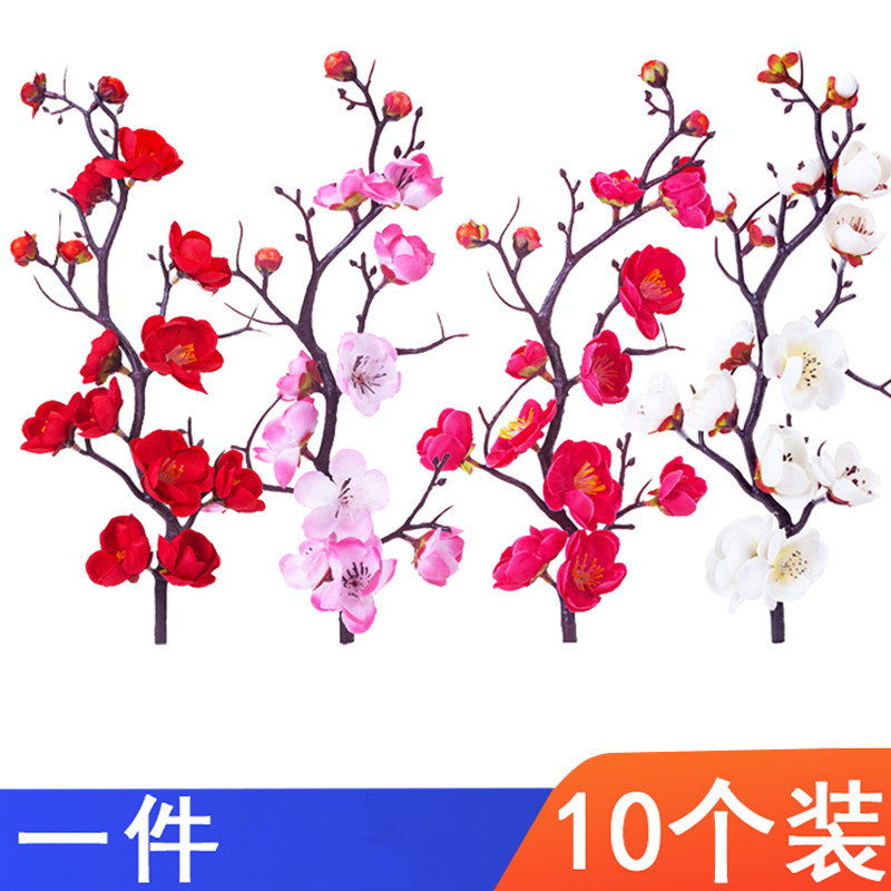 10枝梅花枝网红梅花寿星