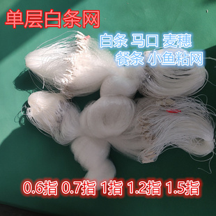 单层白条网粘网渔网沉网浮网细软网丝6789分网眼小白条麦穗鱼网