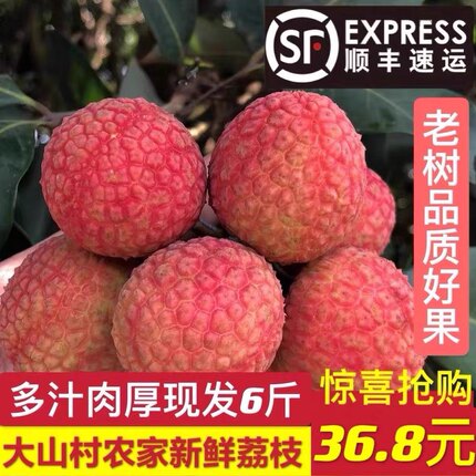 荔枝新鲜黑叶现摘现发福建乌叶荔枝5斤农家老树桂荔枝味顺丰包邮6