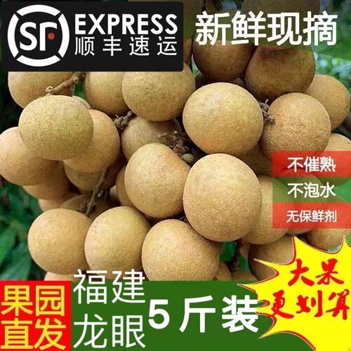 新鲜桂圆5福建农家石硖储良龙眼10斤现摘现发应季水果孕顺丰包邮3