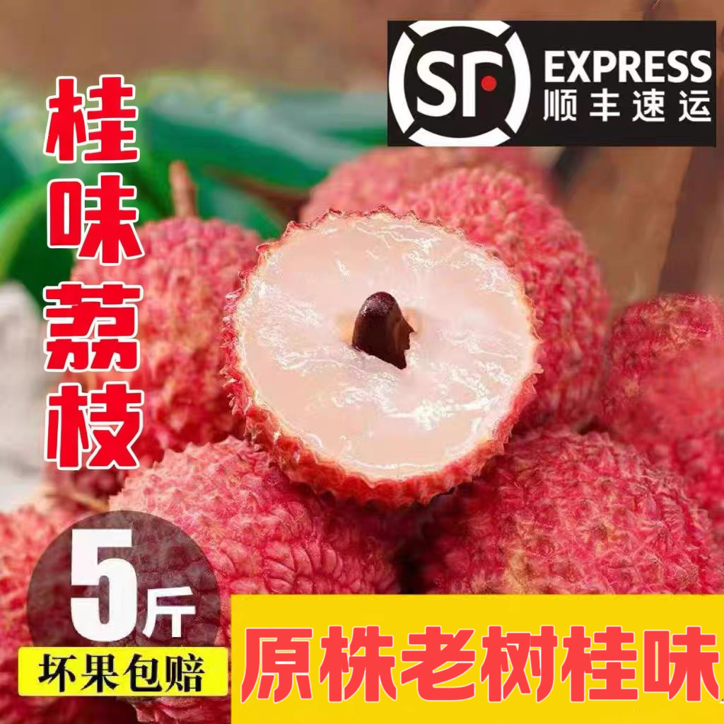 新鲜桂味小核桂味荔枝