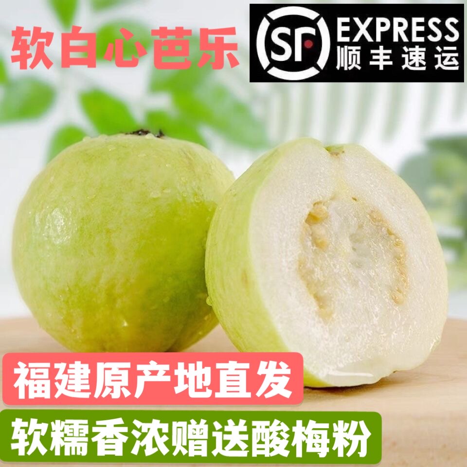 顺丰 新鲜芭乐5斤香甜软白心番石榴福建漳州土芭乐当季孕妇水果