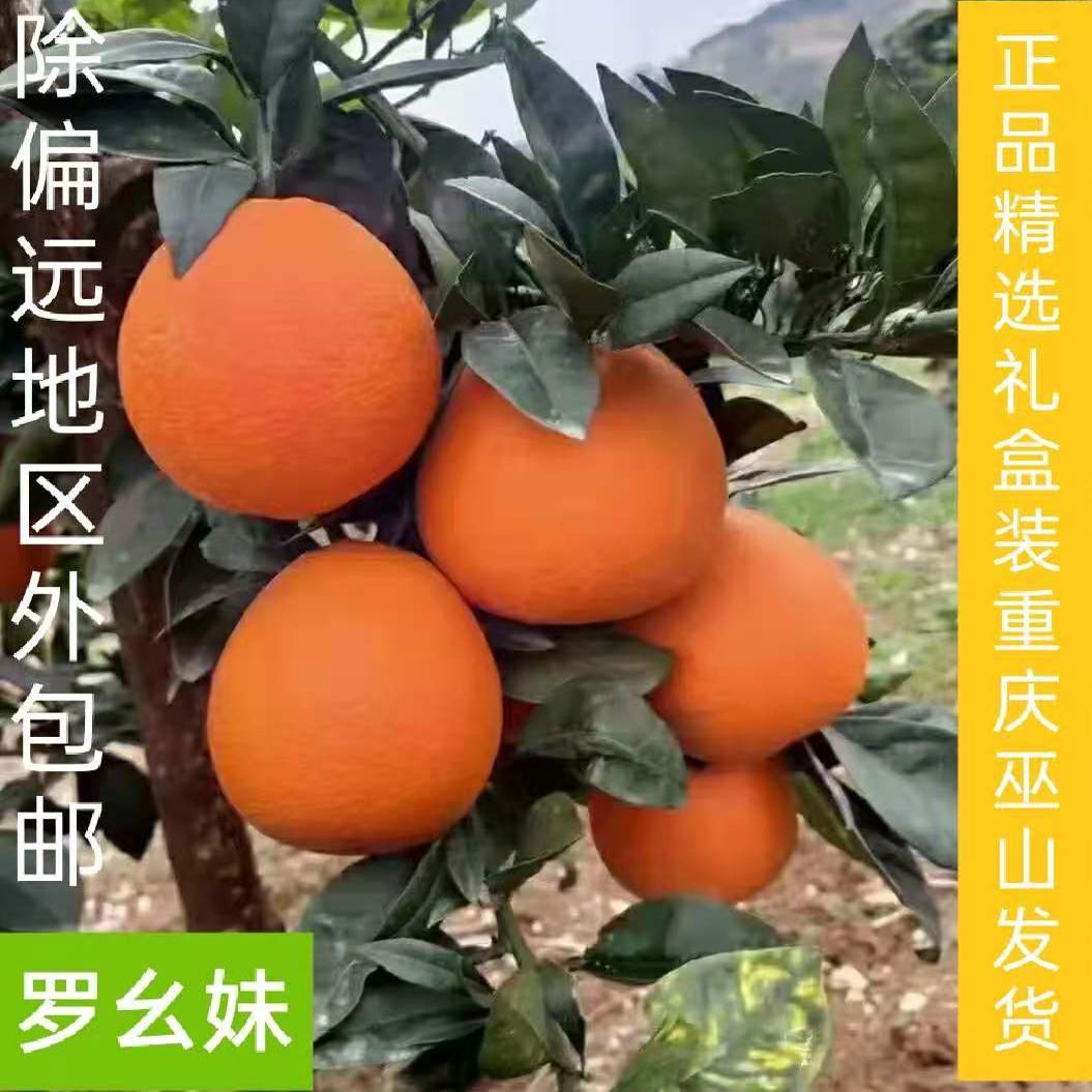 新鲜水果重庆纽荷尔脐橙奉节脐橙