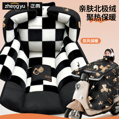 正雨电动车挡风被加绒加厚挡风罩