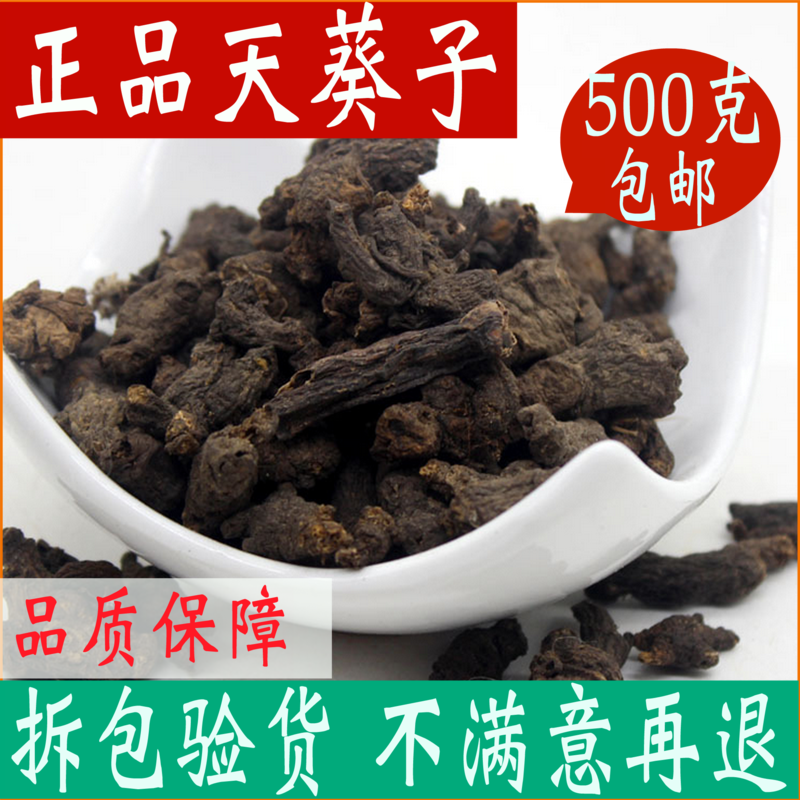 天葵子 野生500g紫背天葵中药材天葵草 千年老鼠屎金耗子屎中草药