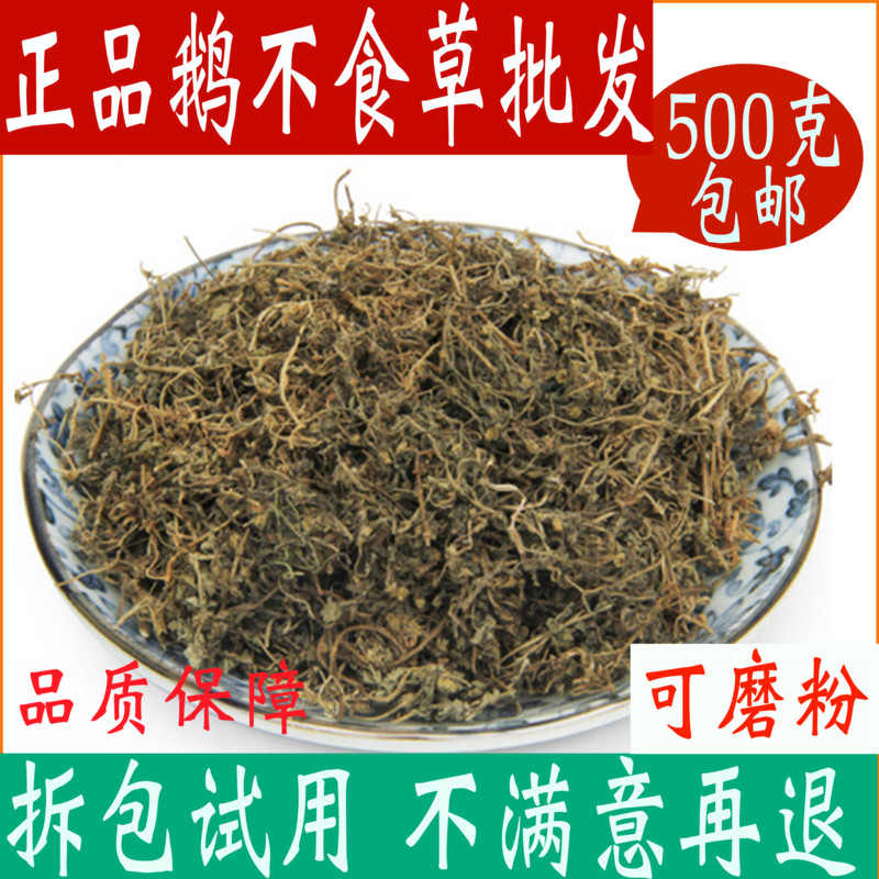 鹅不食草 野生 新鲜干中药材食胡荽500g包邮鹅不食草粉末中草药