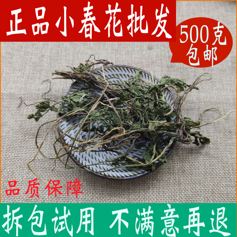 小春花正品中药材一朵云破天云独立金鸡散血叶500g包邮中草药大全