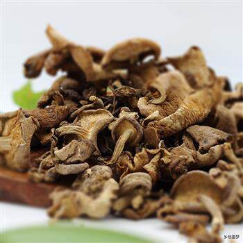 云南菌思茅香菌镇沅香菇南华野生菌子食用200克包邮