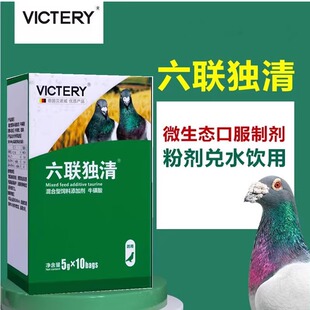 汉诺威六联独清鸽子药大全口服苗信鸽赛鸽常见病预防调理专用鸽药