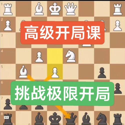 国际象棋视频教程高级开局极限挑战大师卡罗康尼姆佐维奇防御微课