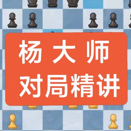 国际象棋视频教程对局精讲解析名局例局特级大师高级中级棋协大师