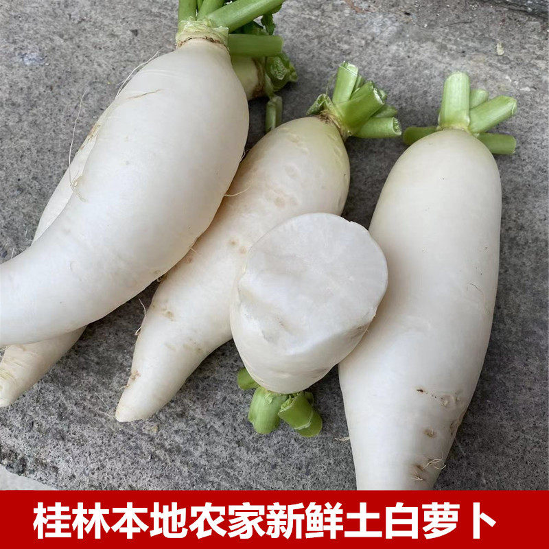 广西桂林本地农家自种新鲜采摘脆甜土白萝卜丑萝卜煮汤水分足3斤,水产肉类/新鲜蔬果/熟食,萝卜/胡萝卜,淘宝优惠券,粉丝福利购,淘宝优惠卷