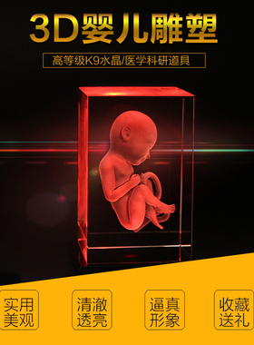 婴儿人体学生礼物水晶内雕定制