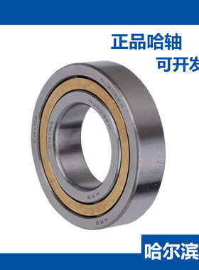 哈尔滨轴承N NU NJ 304 305 306 307 308 309 31031 312 313EM