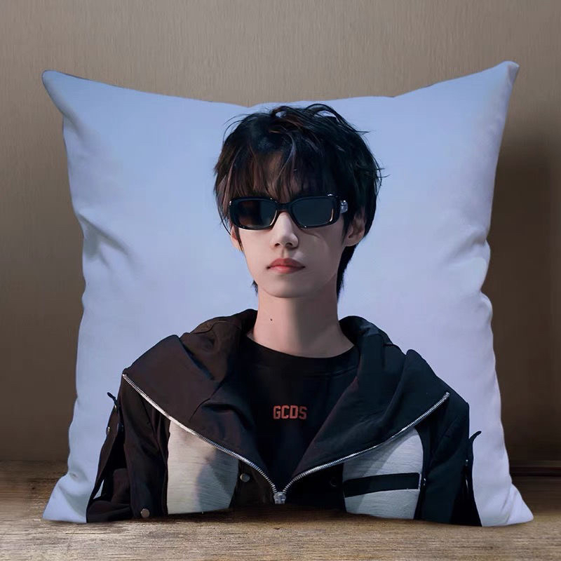 北京WB林恒暖阳周边同款抱枕头来图定制午睡靠垫含枕芯手办礼物