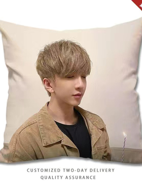 mirror男团ANSON LO卢瀚霆抱枕明星周边同款靠枕头男女生日礼物