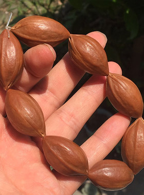 老核白霜原皮素籽8粒橄榄核手串