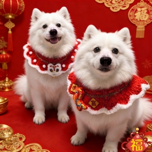 新年狗狗围脖口水巾宠物围巾小配饰小猫围兜装扮钩织