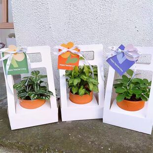 DIY 盒包装 多肉盆栽手提插鲜花束包装 纸盒蛋黄酥情人教师送礼包装