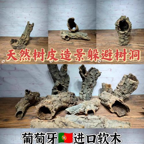 躲避造景葡萄牙软木树桶蜥蜴蜘蛛