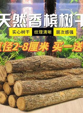 天然原木树枝干水草缸森林造景香槟木桩雨淋缸爬宠缸装饰躲避包邮