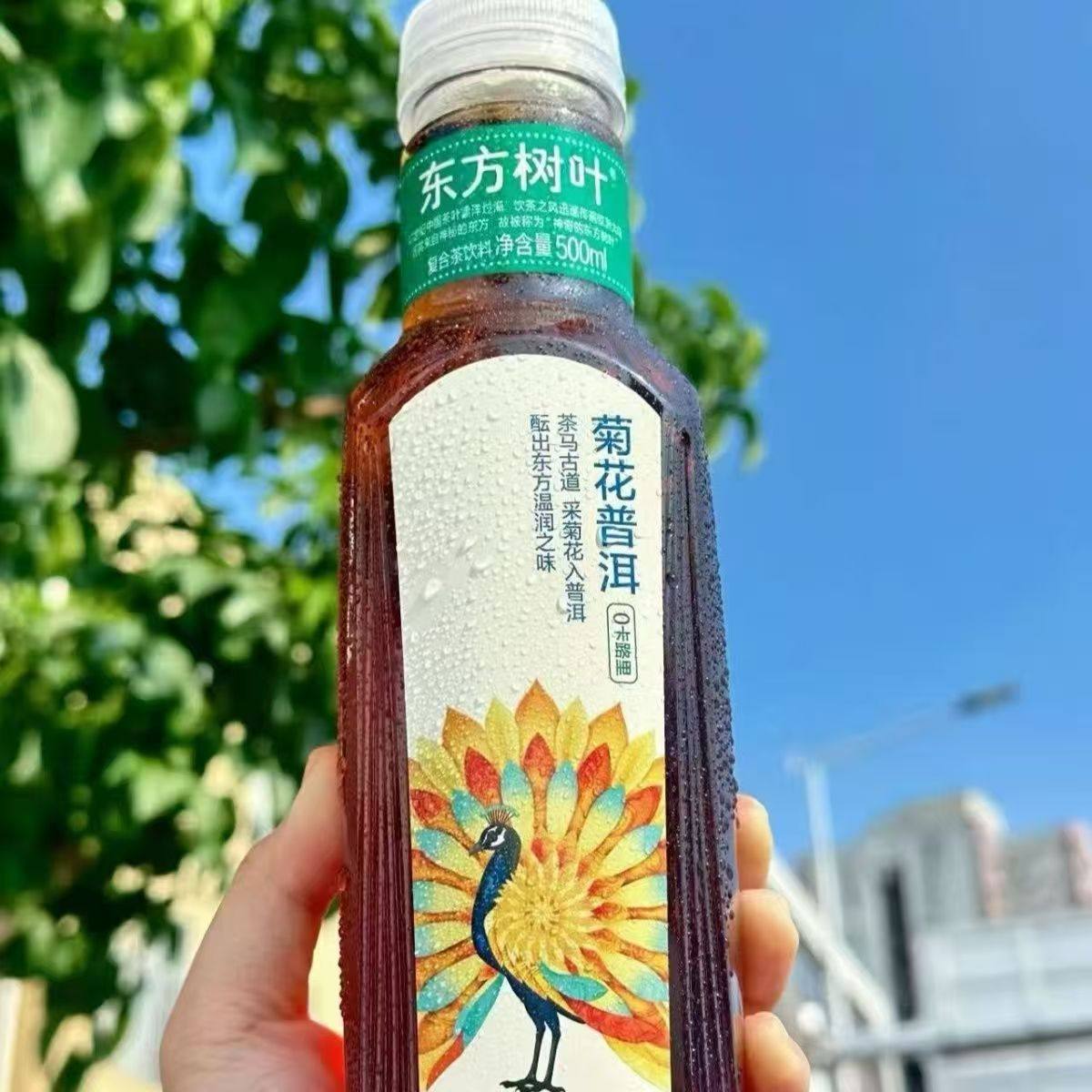 农夫山泉东方树叶菊花普洱茶饮料500ml瓶装整箱0糖0卡复合茶饮品