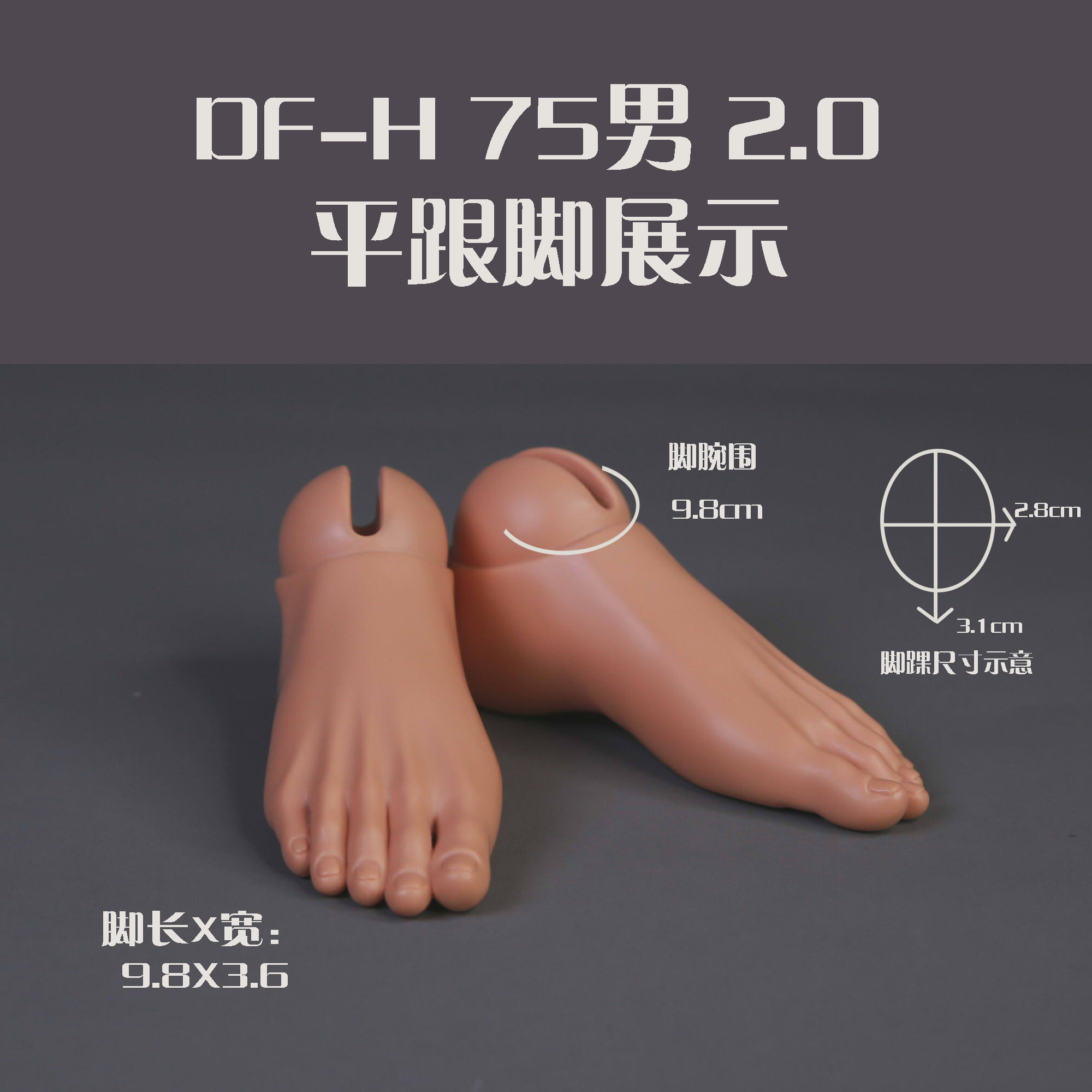 BJD脚型75壮叔dollfamily-h