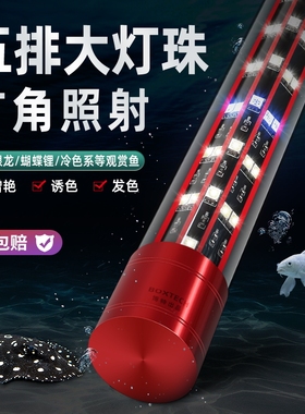 鱼缸灯龙鱼专用灯LED防水超亮潜水诱色照明蓝白灯蝴蝶鲤观赏鱼
