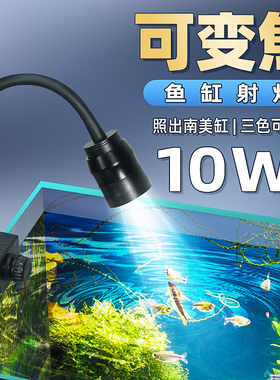 鱼缸射灯变焦灯南美造景专用小型水草灯LED雷龙防水夹灯照明灯具