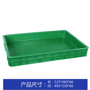 66高厂家直销 加厚芽苗菜专用盘 无土种植育苗盘 豆芽筐 催芽盘