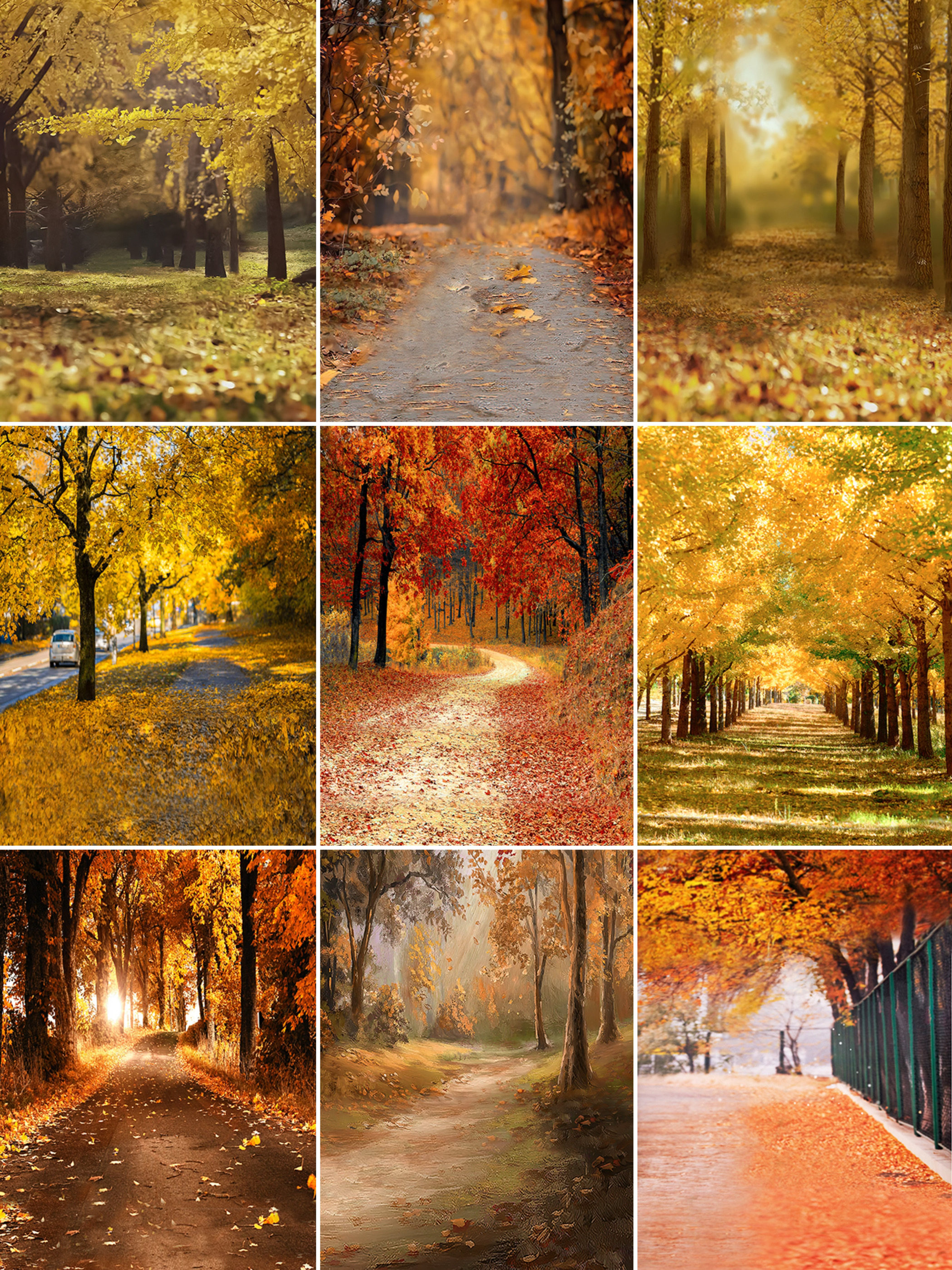 新款秋天黄色枫叶儿童拍照背景布 秋季树林落叶银杏写真摄影背景