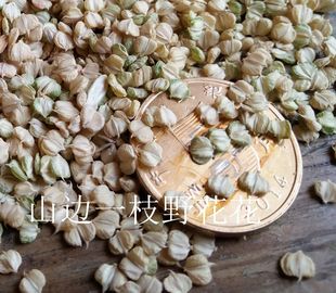 败草籽 稗草籽 杂草种子充枕头   淡淡草香味 天然保健枕