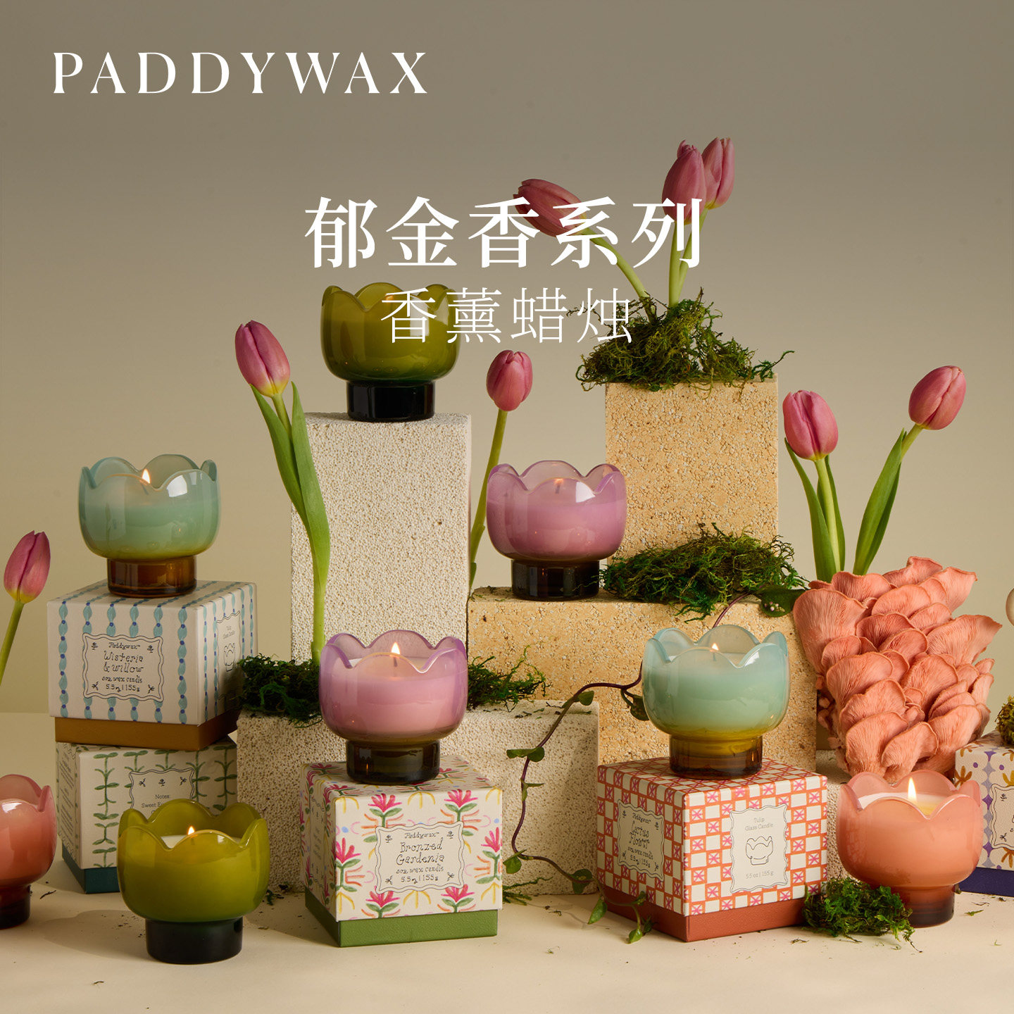 美国Paddywax香薰蜡烛郁金香系列复古个性设计仪式感送礼香薰图片
