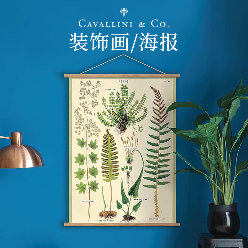 美国cavallini现代装饰画海报美式复古植物墙面装饰（含挂轴）图片