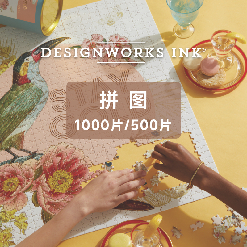 美国DesignworksInk进口拼图1000片纸质儿童益智成人解压耐心锻炼-封面