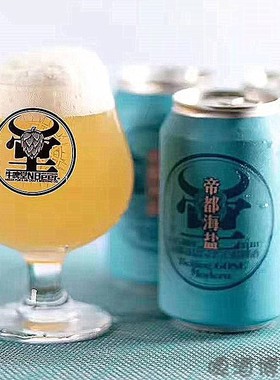 国产精酿Nbeer牛啤堂帝都海盐啤酒GOSE古斯330ml 包邮