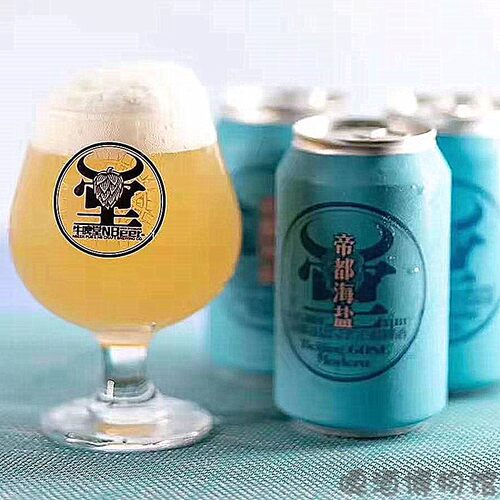 国产精酿牛啤堂帝都Nbeer海盐