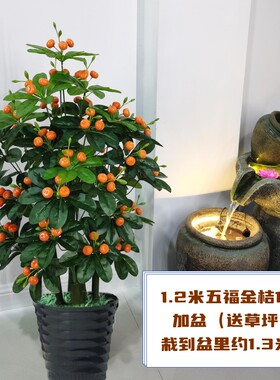 仿真假树客厅装饰假树