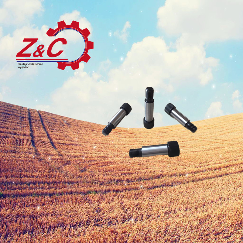 PACK-TBH50-d8/d10-L10/12/16/20/25/30/35/40/50轴肩螺钉 塞打螺