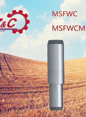 台阶定位销不锈钢固定销钉圆柱销MSFWC5/MSFWCM可定制