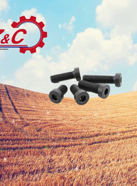 TAF01-M6/M8/M10/M12内六角圆柱头螺钉 薄圆柱头型螺栓TAF02