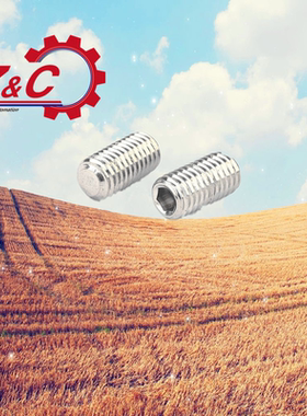 内六角平端紧定螺钉不锈钢 TAY02-M3-L4/5/6/8/10-M4-L4/5/6/8/10