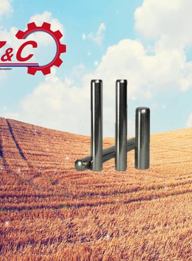 定位销BLF01-D5/D6/D8/D10/D12/D13/L10/L15/L20/L25/L30/L35