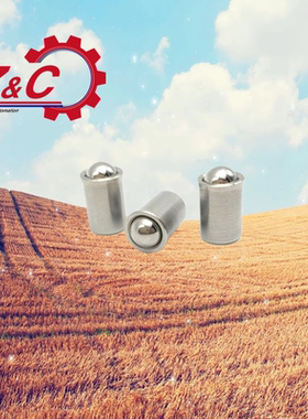 BSDS BSDA BSDB-M3 M4 M5 M6 M8 M10压入式球头柱塞