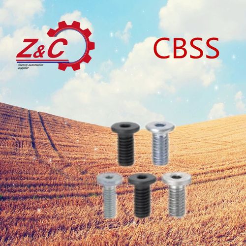 极低头内六角螺丝CBSS3/CBSS4