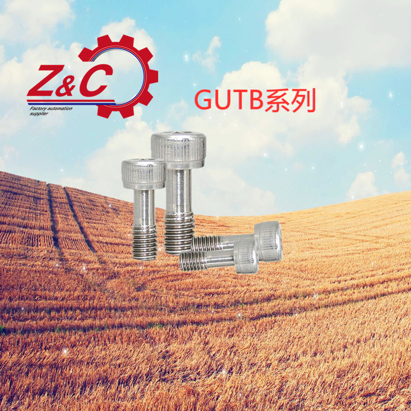 GUTB3-4-10/4/5/6不锈钢盖板螺栓 杯头型松不胶螺丝