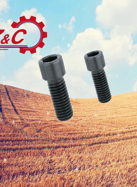 TBH13-M8/M10/M12-L10/L12/L16/L20/L25/L30/35 内六角小径螺丝钉